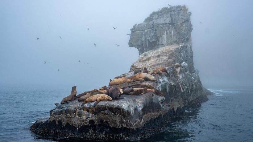 island