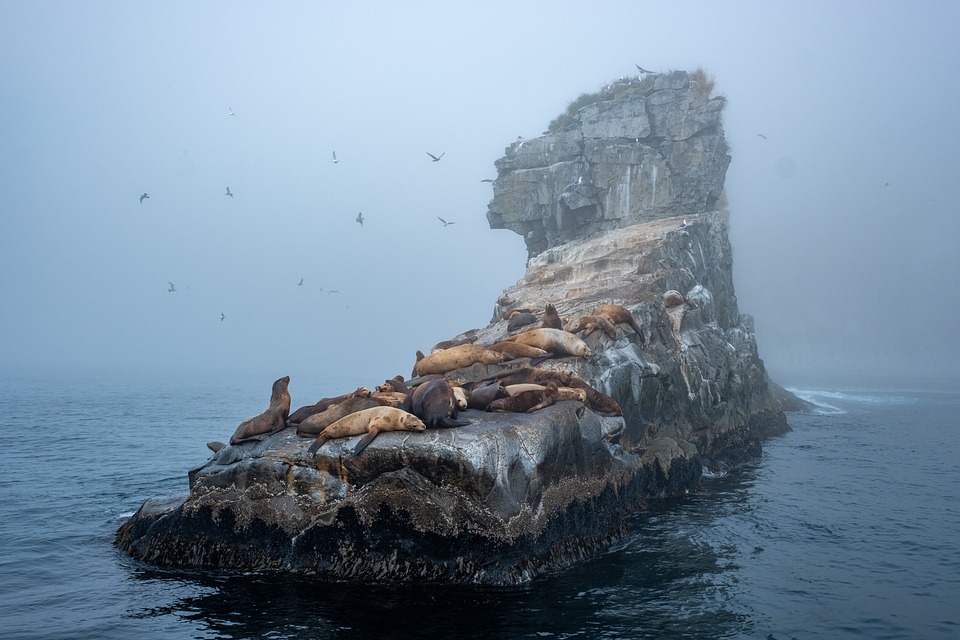 island